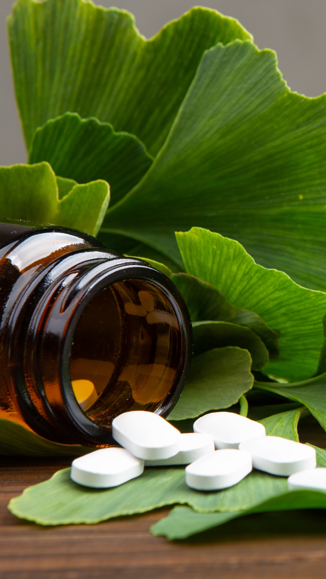 Seattle Acupuncture & Holistic Health